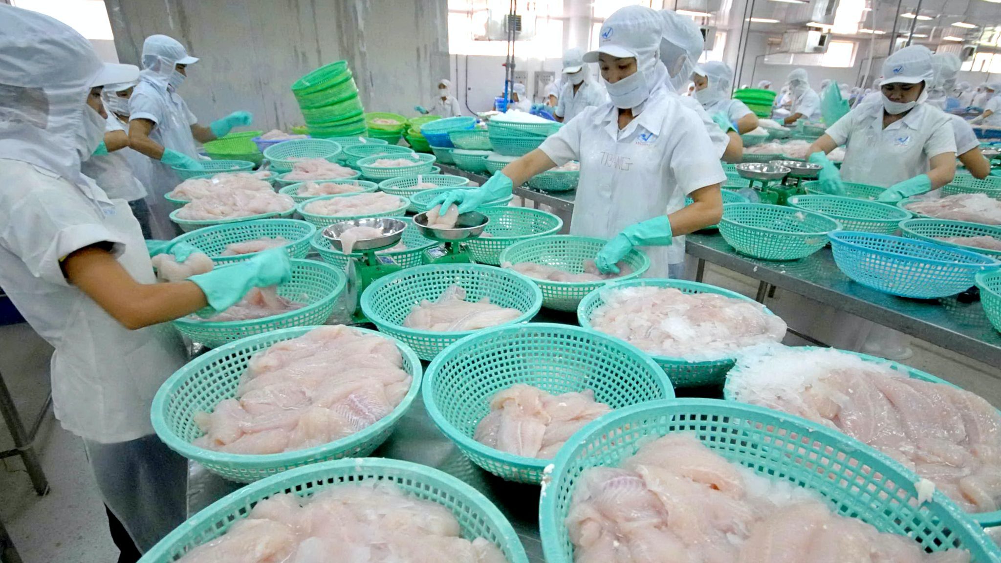 Collagen & Gelatin - “Mỏ vàng” cho Thuỷ sản Vĩnh Hoàn (VHC)